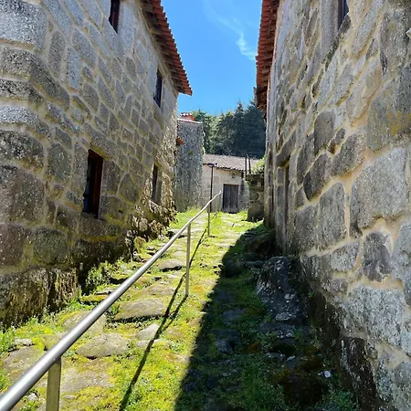 Dão * Silgueiros