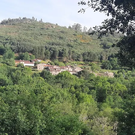 Dom wakacyjny Dao Silgueiros