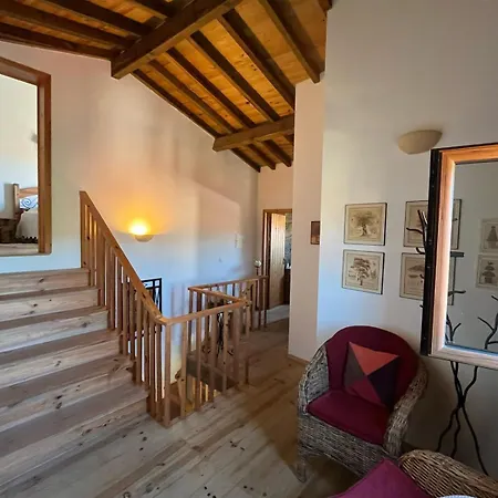 Casa de Férias Dão *