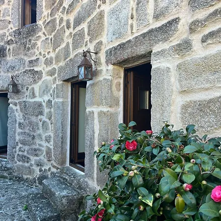 Dão Casa de Férias *